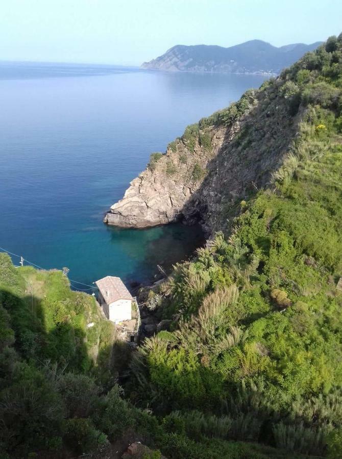 Cecio 5 Terre Rooms Corniglia Exterior foto